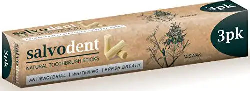 Miswak Salvodent 100% Natur Zahnbürste, 3 Stück
