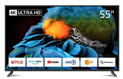 Fernseher bis 400 Euro DYON Smart 55 XT-2 138,7 cm (55 Zoll)