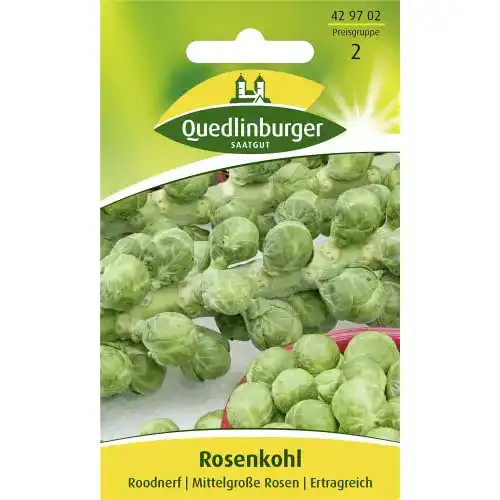 Kohl-Samen Quedlinburger Rosenkohl, Roodnerf