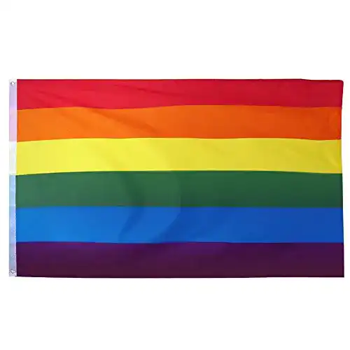 LGBTQ-Flagge TRIXES große Regenbogen Fahne 150 cm x 90 cm