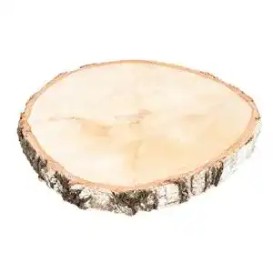 Baumscheibe NaDeco Birkenscheibe Ø20-30cm x 2-3cm
