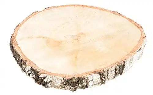 Baumscheibe NaDeco Birkenscheibe Ø20-30cm x 2-3cm