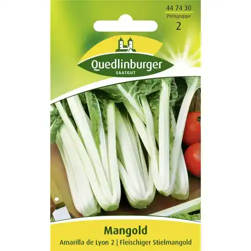 Mangold-Samen Quedlinburger Mangold, Amarilla de Lyon 2