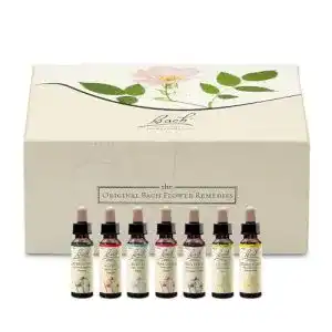 Bachblüten-Tropfen Bach Original Blüten Tropfen Box, 40x10ml