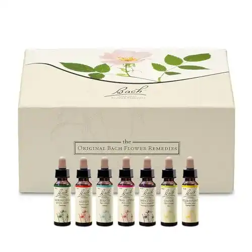 Bachblüten-Tropfen Bach Original Blüten Tropfen Box, 40x10ml
