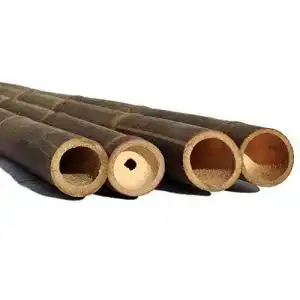 Bambusrohre bambus-discount.com 1 Stück Wulung Bambusrohr