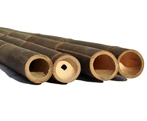 Bambusrohre bambus-discount.com 1 Stück Wulung Bambusrohr