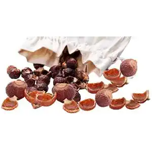 Waschnüsse NaturGut im Polybeutel + Waschsäckchen, 1kg