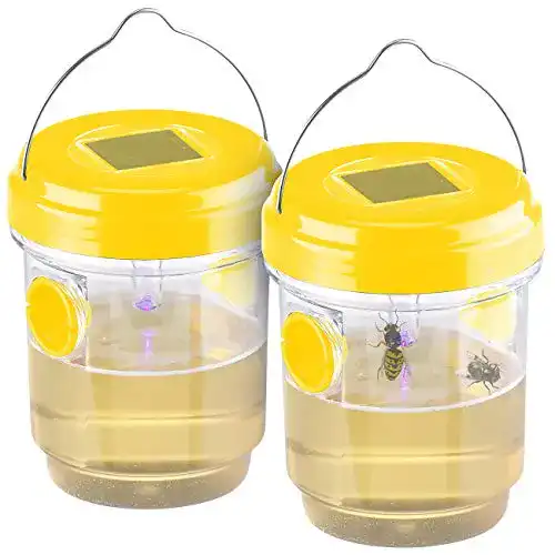 Wespenfalle Exbuster : 2er-Set giftfreie Solar-LED-Insektenfalle