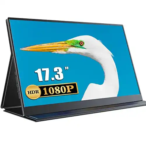 Portable-Monitor 17 Zoll EVICIV Portable Monitor, 17,3″ Tragbar