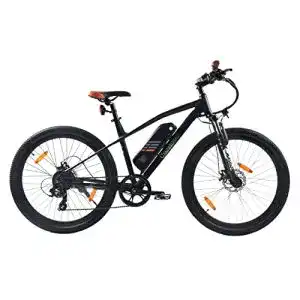 E-Bike 29 Zoll SachsenRAD E-Bike R6 Neo 29 Zoll Sport Elektro