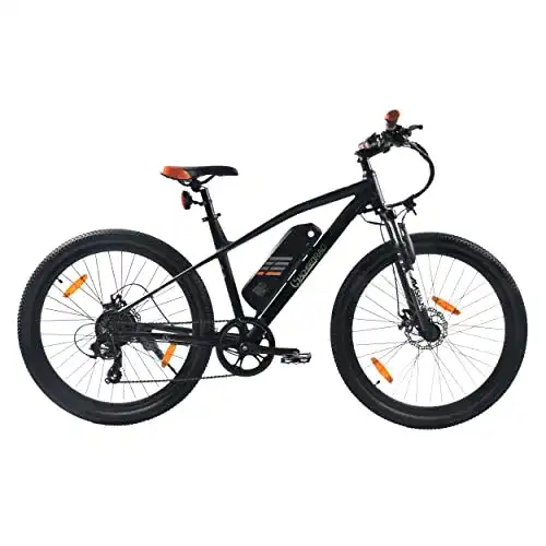 E-Bike 29 Zoll SachsenRAD E-Bike R6 Neo 29 Zoll Sport Elektro