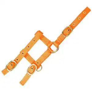 Fohlenhalfter EKKIA Verstellbares Mini Halfter orange