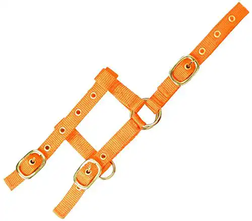 Die beste Fohlenhalfter EKKIA Verstellbares Mini Halfter orange 2026 Test Bestseller Fohlenhalfter EKKIA Verstellbares Mini Halfter orange