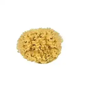 Badeschwamm DIAQUA CROLL & DENECKE M130 Naturschwamm