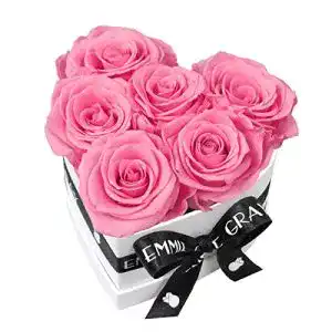Rosenbox EG EMMIE GRAY Classic Infinity Herz Weiß, S, Baby Pink