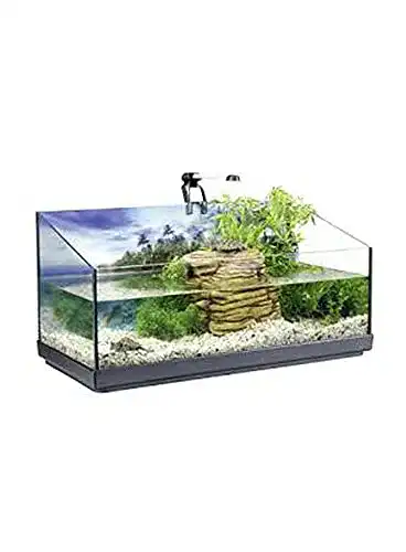 Nano-Aquarium Tetra Repto Aqua Set – Komplettset