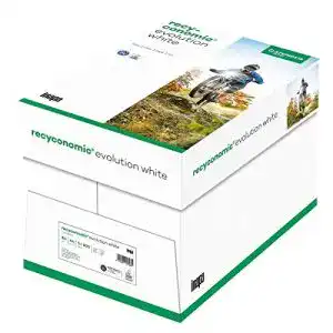 Recyclingpapier inapa Recycling-Papier, Recyconomic evolution