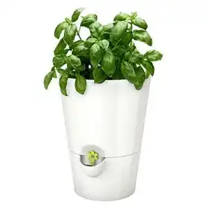 Blumentöpfe Emsa 514244 Kräutertopf für frische Kräuter, Ø 13 cm