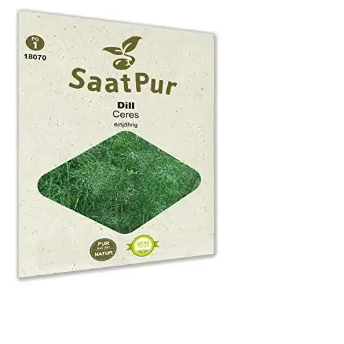Dill-Samen SaatPur Dill Samen, Saatgut für ca. 200 Pflanzen