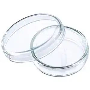 Petrischalen neoLab Anumbra 5 Stück E-2130, 40 mm x 12 mm