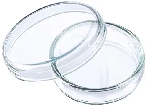Petrischalen neoLab Anumbra 5 Stück E-2130, 40 mm x 12 mm