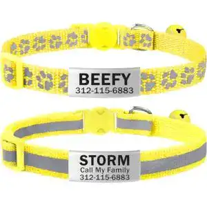 Katzenhalsband TagME mit Namen und Telefonnummer, 2Pack