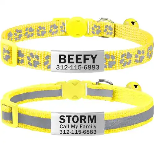 Katzenhalsband TagME mit Namen und Telefonnummer, 2Pack