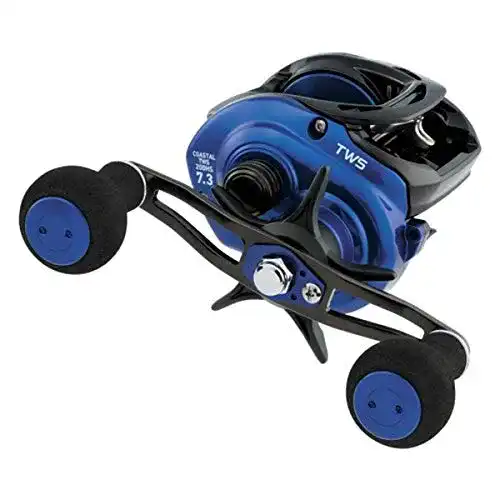 Die beste Daiwa-Rollen Daiwa CLTW200HSL Coastal TWS Rolle, 7.3:1 Übersetzung 2026 Test Bestseller Daiwa-Rollen Daiwa CLTW200HSL Coastal TWS Rolle, 7.3:1 Übersetzung