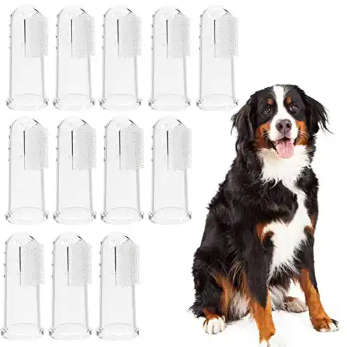 Hundezahnbürste Girls’love talk Pet Finger Zahnbürste, 12 Stück