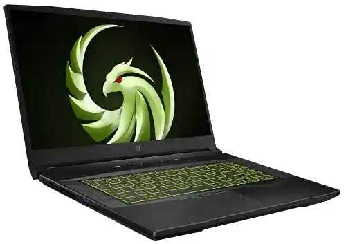 MSI-Gaming-Laptop MSI Alpha 17, AMD Ryzen 7 5800H