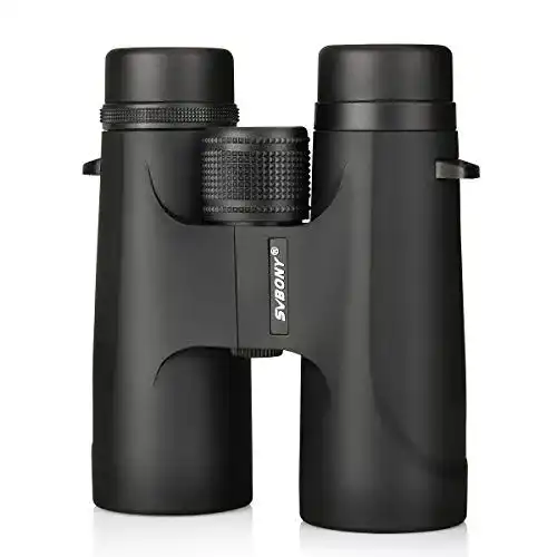 Fernglas 10×32 Svbony SV40 Fernglas 8×32 Kompakt Teleskop