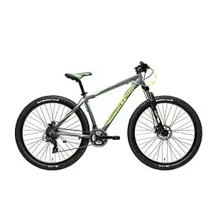 Mountainbike bis 500 Euro Adriatica 29 Zoll MTB Wing RCK