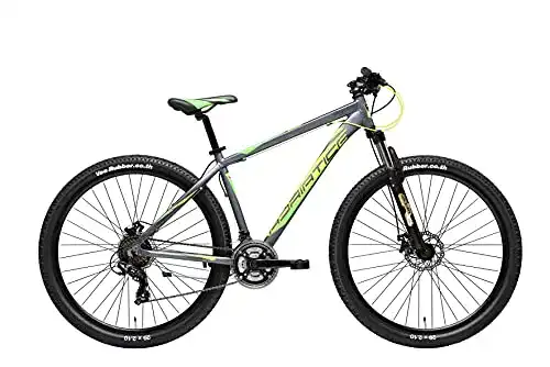 Mountainbike bis 500 Euro Adriatica 29 Zoll MTB Wing RCK