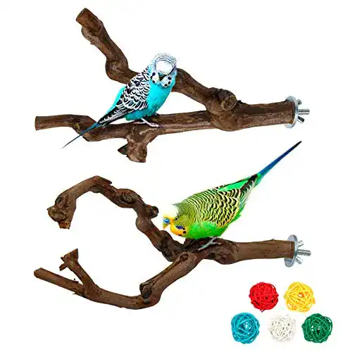 Wellensittich-Spielzeug suruikei 2 Stück Natur Sitzstangen Set
