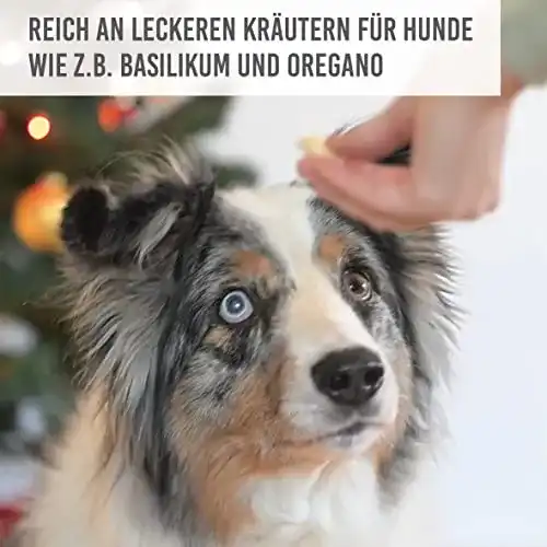 Hunde-Adventskalender KaraLuna Bio Hundesnack Weizenfrei