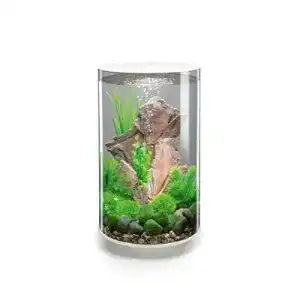 rundes Aquarium biOrb 72067 TUBE 30 LED weiß, 30 Liter