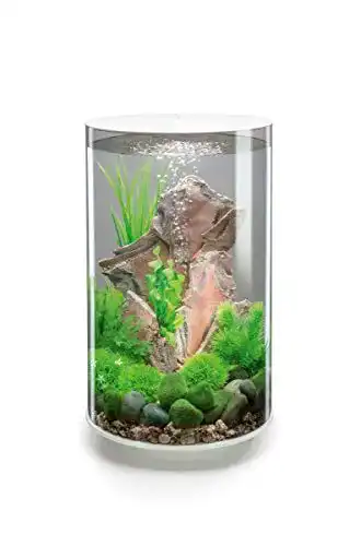 rundes Aquarium biOrb 72067 TUBE 30 LED weiß, 30 Liter