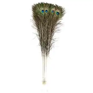 Pfauenfeder Creny n, 80–90 cm, für Zuhause, Hochzeit, Party