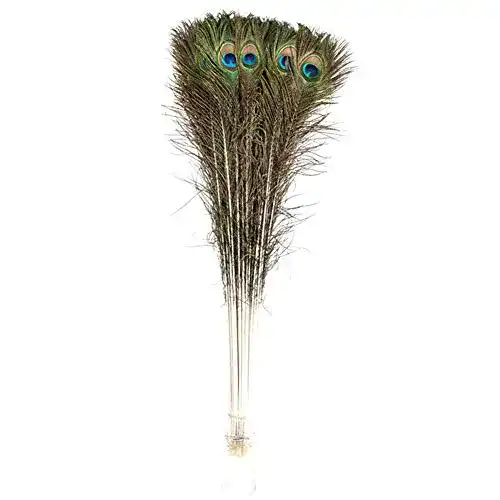 Pfauenfeder Creny n, 80–90 cm, für Zuhause, Hochzeit, Party