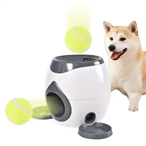 Ballwurfmaschine Hund Egosy Dog Activity Memory Trainer