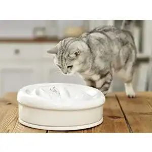 Katzenbrunnen (Keramik) aqua feline Premium (Weiß)