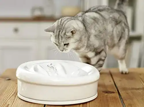 Katzenbrunnen (Keramik) aqua feline Premium (Weiß)