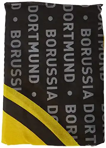 BVB-Fahne Borussia Dortmund BVB-Hissfahne 250x150cm