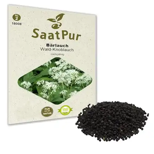 Bärlauch-Samen SaatPur Bärlauch Samen für ca. 50 Pflanzen