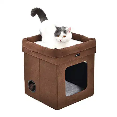Die beste Katzenhaus Amazon Basics - Faltbar, Braun 2026 Test Bestseller Katzenhaus Amazon Basics – Faltbar, Braun