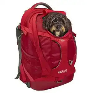 Hunderucksack Kurgo G-Train, Rucksack für Hunde bis 11kg