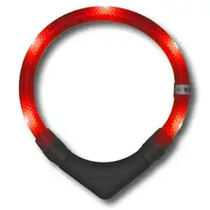 Leuchthalsband Hund LEUCHTIE ® Leuchthalsband Plus, LED