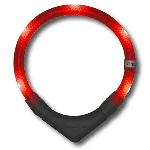 Leuchthalsband Hund LEUCHTIE ® Leuchthalsband Plus, LED