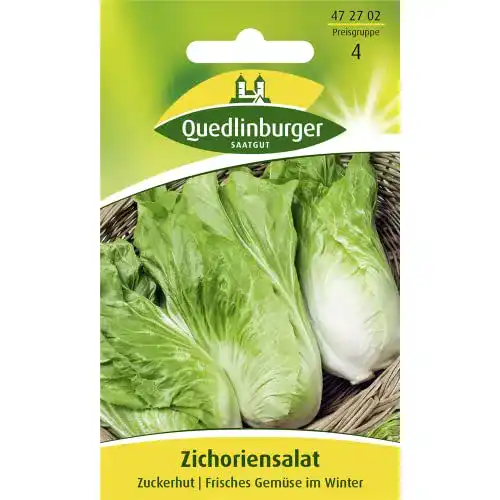 Zuckerhut-Samen Quedlinburger Saatgut Zichoriensalat